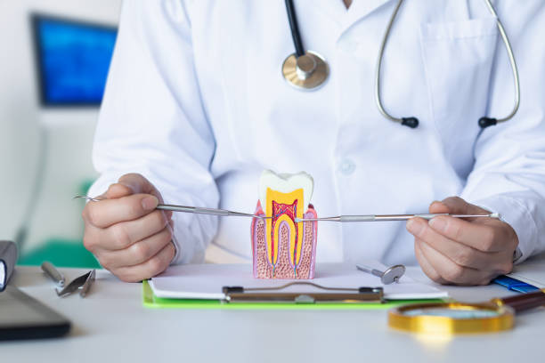 Best Broken Tooth Emergency  in Lorado Springs, CO